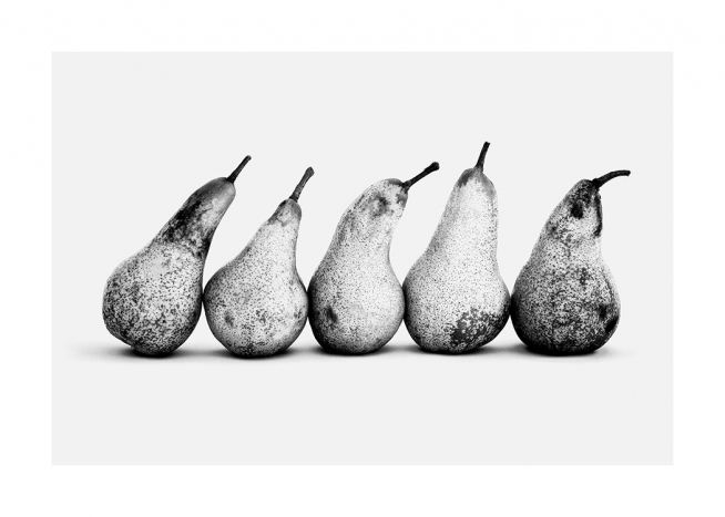  - Zwart-witfoto van vijf peren op een rij