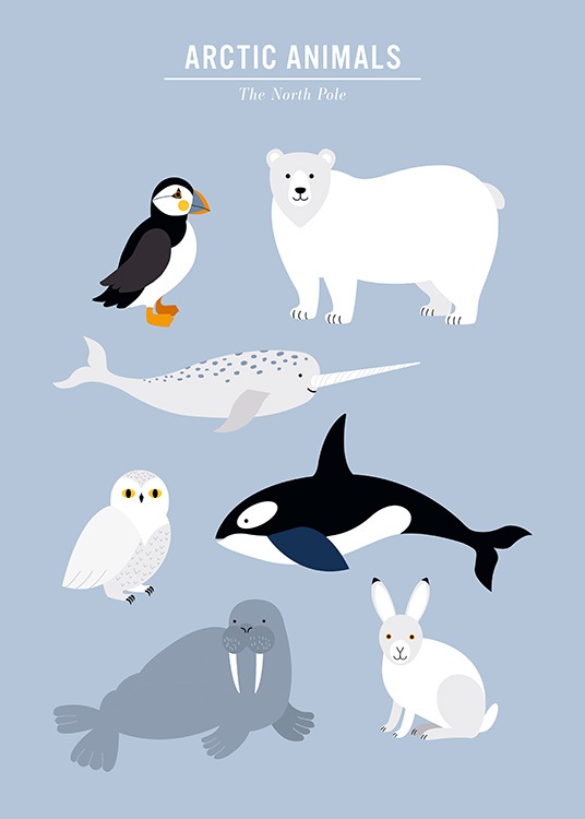  - Kinderposter met een grafische illustratie in blauw en arctische dieren