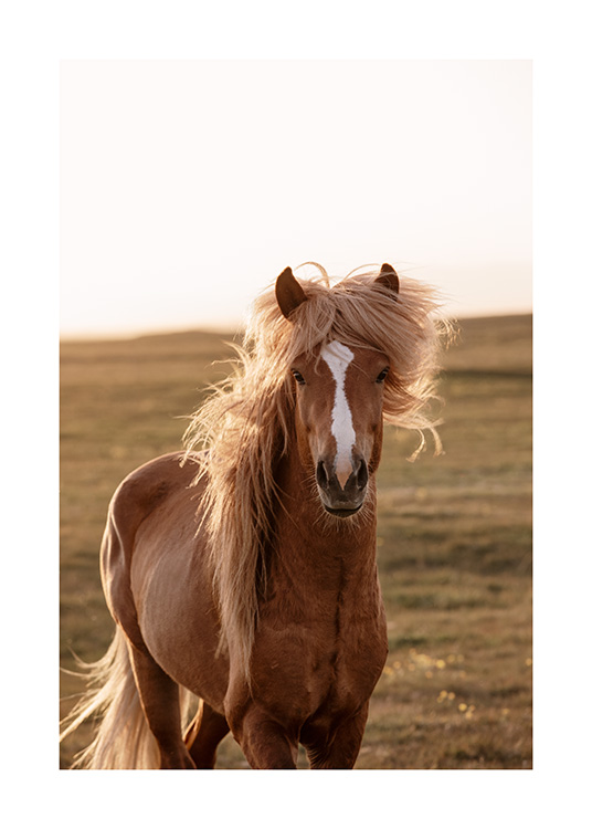  - Foto van lichtbruin paard op IJsland met groen landschap op de achtergrond