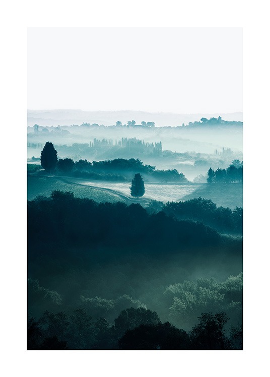  - Natuurfoto van bomen op velden in Toscane, gehuld in nevel en mist