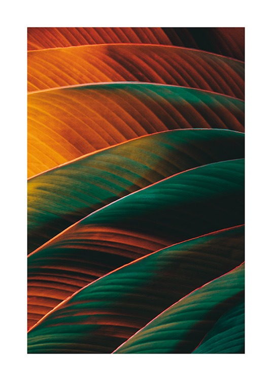 Retro Palm Leaf Poster / Palmbomen bij Desenio AB (13623)