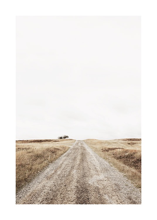 Lonely Road Poster / Landschappen bij Desenio AB (13644)