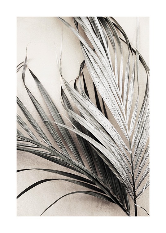 Dry Palm Leaves No3 Poster / Palmbomen bij Desenio AB (13672)