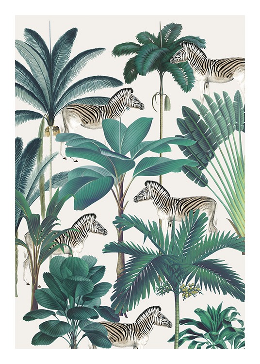 Royal Botanical Zebras Poster / Wilde dieren bij Desenio AB (13734)
