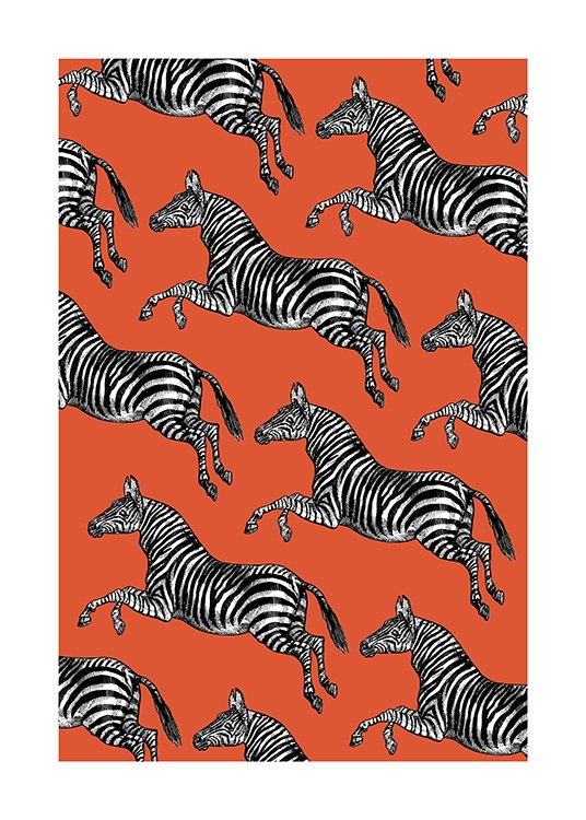 Vintage Zebras Poster / Insecten en dieren bij Desenio AB (13787)