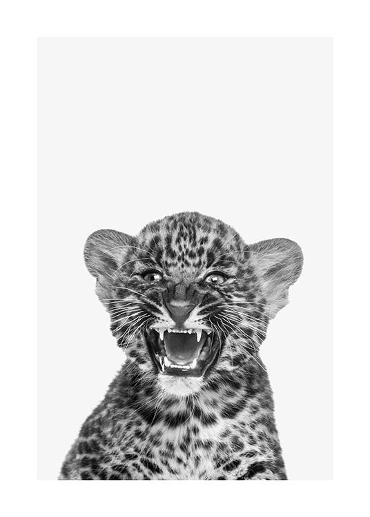Baby Leopard Poster / Insecten en dieren bij Desenio AB (13858)
