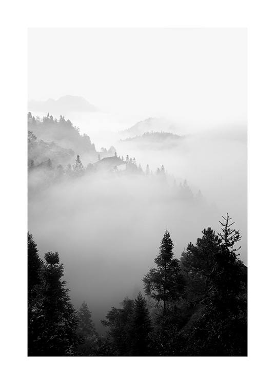  – Zwart wit foto van een mistig boslandschap in de bergen