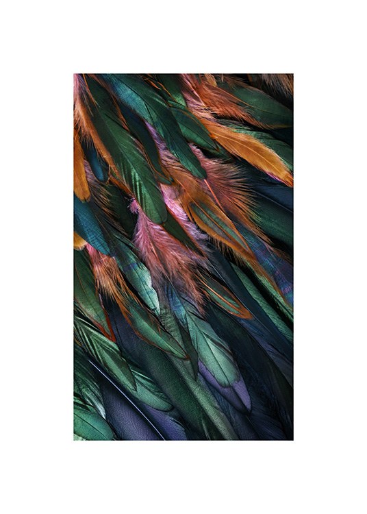  – Foto met details van kleurrijke vogelveren in blauw, groen, oranje en roze