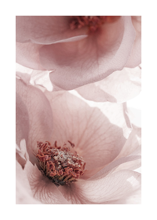  - Close-upfoto van bloeiende tuinbloemen in roze