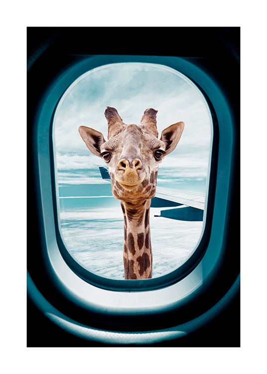  - Foto van een nieuwsgierige giraf die door het raam van een vliegtuig kijkt