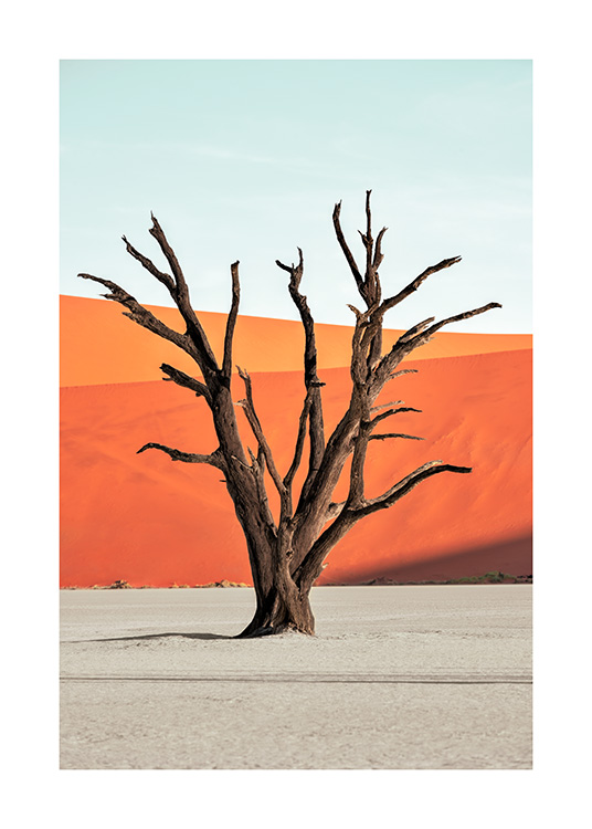  - Foto van een bruine boom die in de woestijn staat voor een blauwe hemel en rode zandduinen