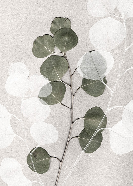  – Foto van een groene en witte eucalyptustak op een beige, stenen achtergrond