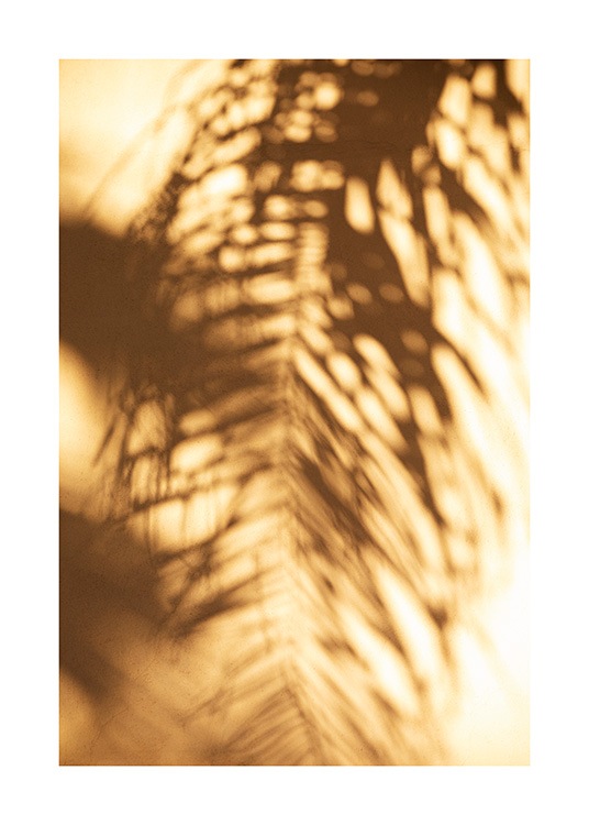  – Foto van een gele muur met de schaduw van een palmblad