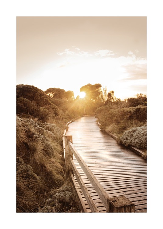  – Foto van een houten wandelpad slingerend door een landschap in de zonsondergang