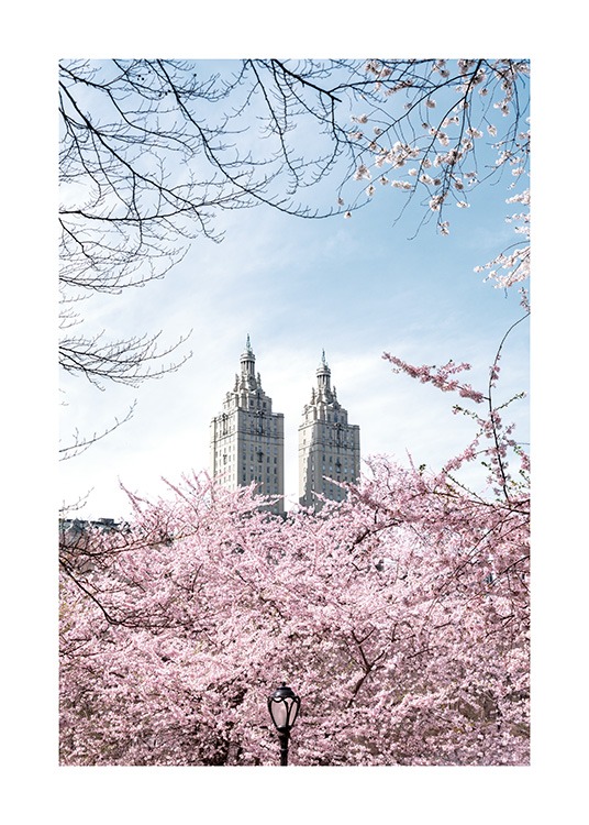  – Foto van kersenbomen voor twee torens met een blauwe hemel erachter
