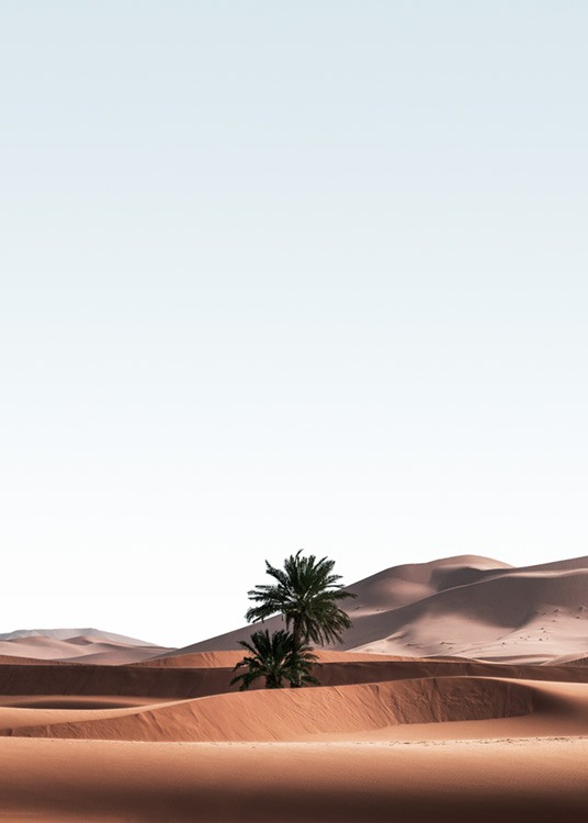  – Foto van een woestijnlandschap met palmbomen in de zandduinen