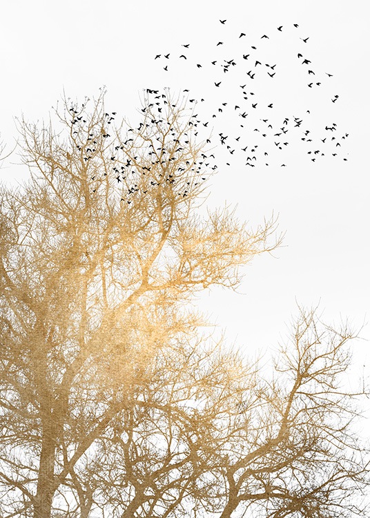  – Grafische illustratie van zwarte vogels en een gouden boom op een witte achtergrond