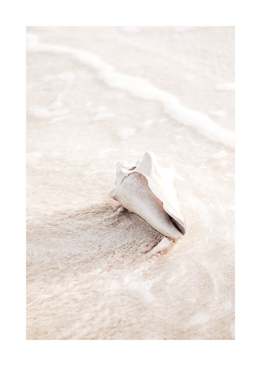  – Foto van een lichtbeige schelp in water en zand