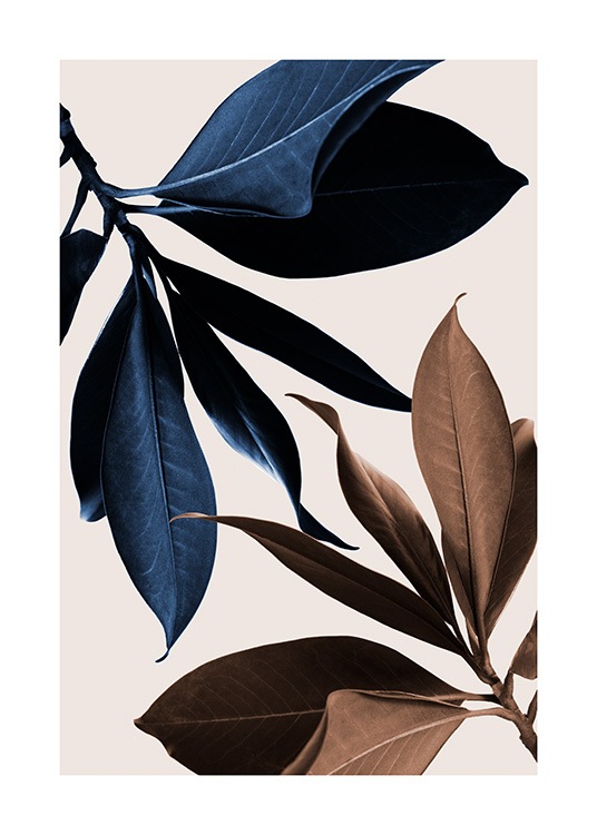  – Foto van magnoliabladeren in bruin en blauw op een beige achtergrond