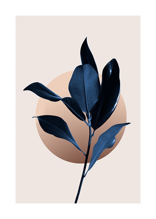  – Donkerblauwe magnoliabladeren met een grafisch geïllustreerde cirkel erachter, op een beige achtergrond