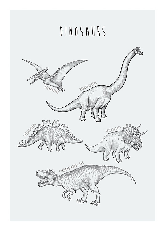  – Handgetekende illustratie met verschillende soorten dinosaurussen op een blauwgroene achtergrond