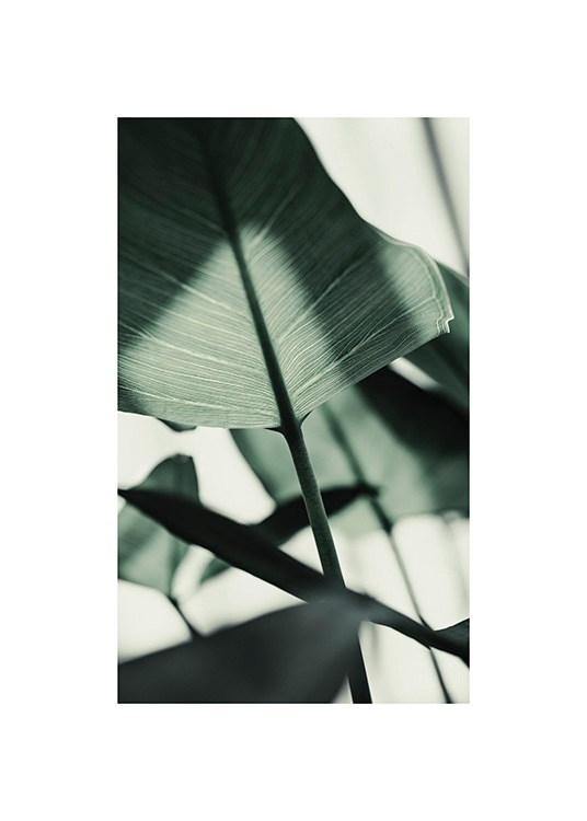  – Foto van een zonovergoten, groen blad met vage bladeren op de achtergrond