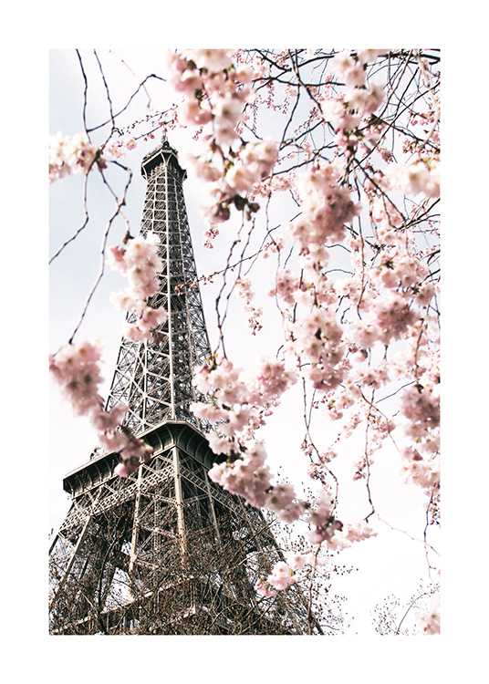 – Foto van een boom met roze kersenbloesems voor de Eiffeltoren
