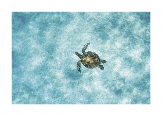  – Luchtfoto van een zeeschildpad die in de oceaan met helderblauw water zwemt