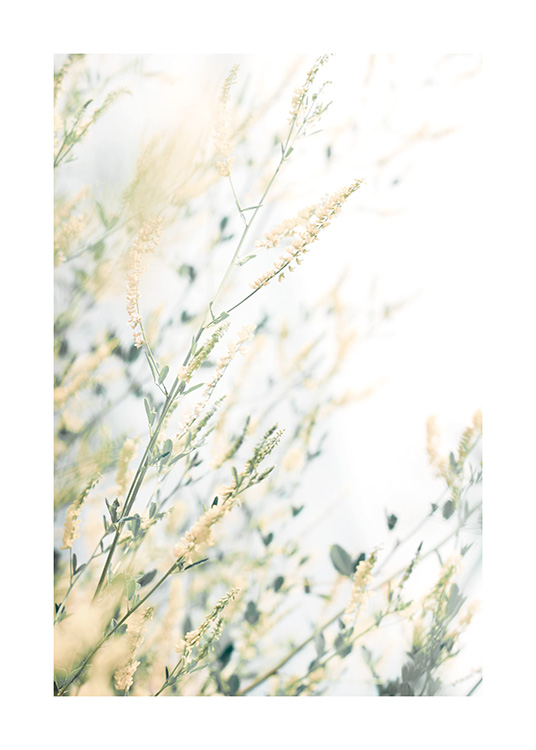  – Foto van een bos kleine gele bloemen met groene bladeren tegen een witte achtergrond