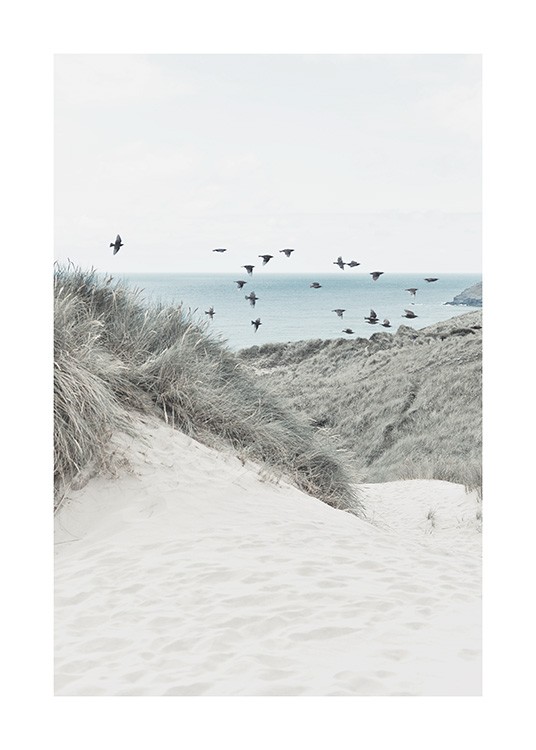  – Foto van zandduinen en gras met een vlucht vogels en een zee op de achtergrond