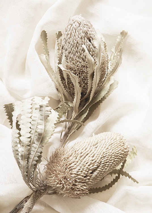  – Foto van een paar droogbloemen in beige, tegen een witte stof als achtergrond