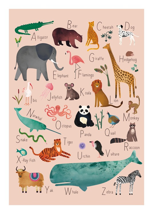  – Illustratie van dieren met namen die beginnen met de letters van het alfabet