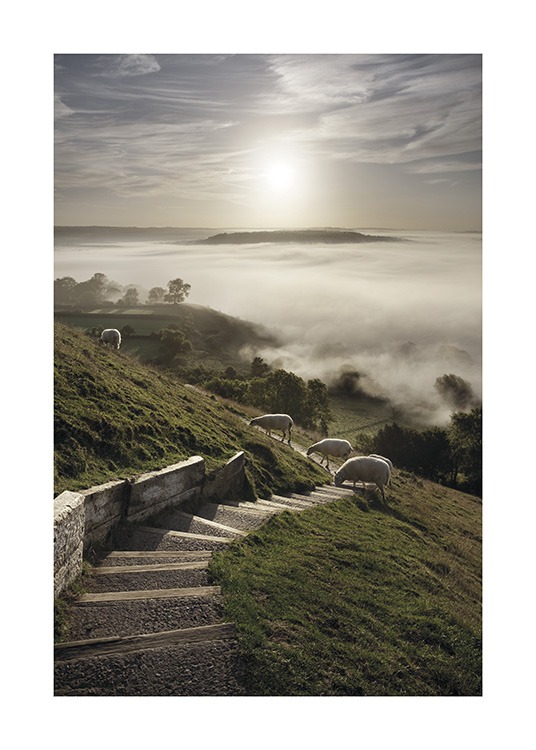  – Foto van een kudde schapen die in een groen landschap met een trap lopen