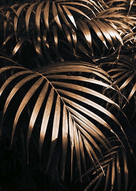  – Foto van gouden palmbladeren tegen een zwarte achtergrond