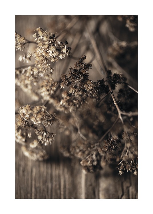  – Foto met close-up van bruine, gedroogde weidebloemen die op een houten tafel liggen