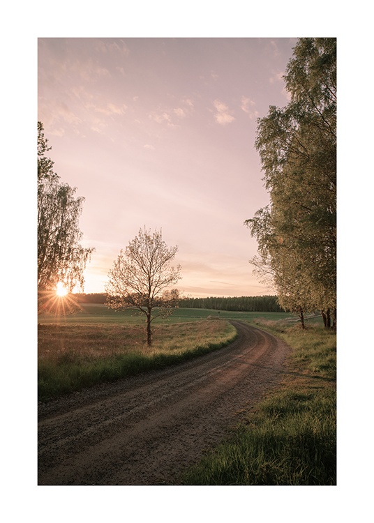  – Foto van bomen en velden rond een landweg, met de zon en een pastelkleurige lucht op de achtergrond
