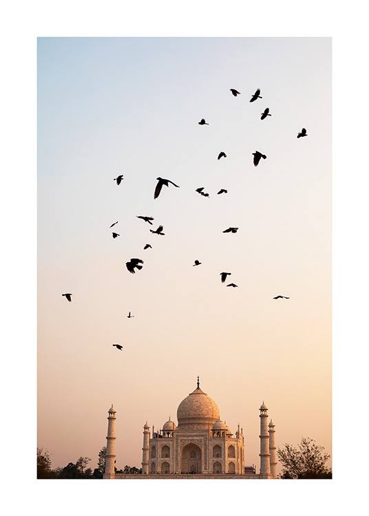  – Foto van een zwerm vliegende vogels, met de Taj Mahal en een pastelkleurige hemel op de achtergrond