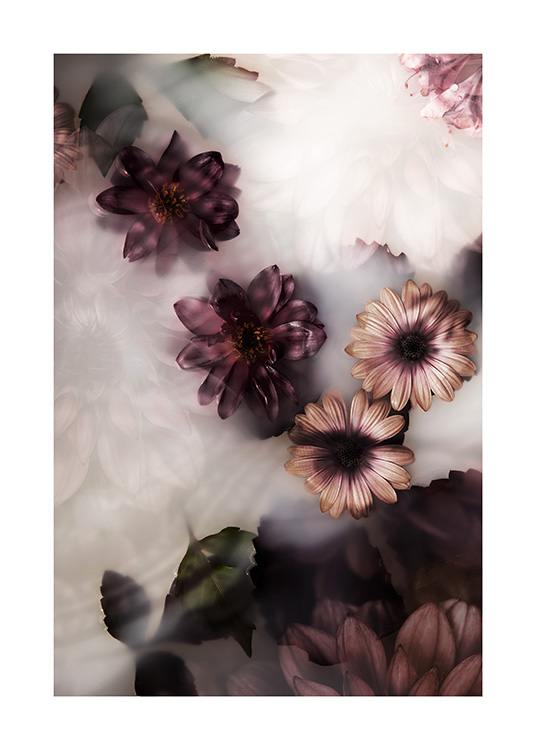 – Foto van bloemen in roze en donkerpaars die in een bad met melk drijven