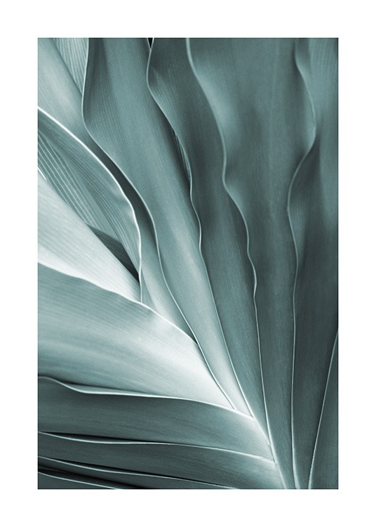  – Foto met close-up van een mintgroen blad met vouwen in het blad