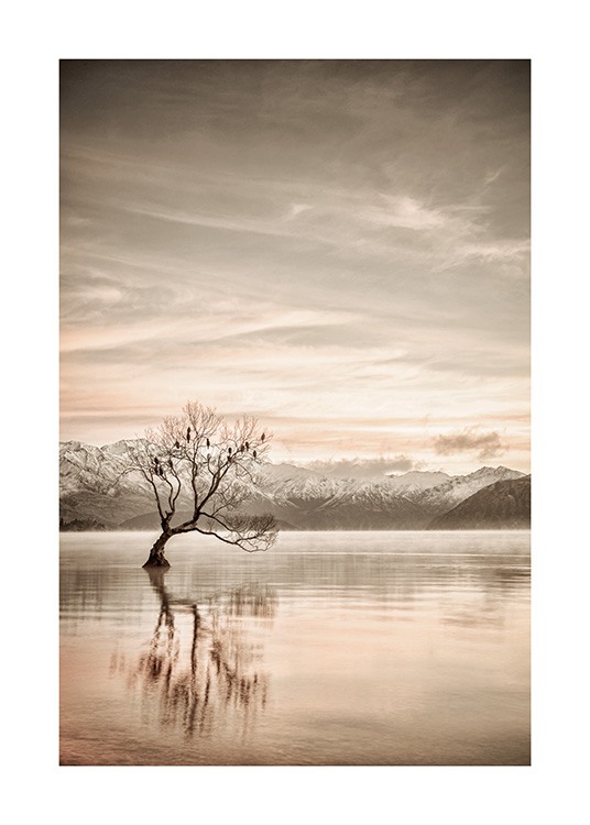  – Foto van een kalm meer met een boom en bergen op de achtergrond