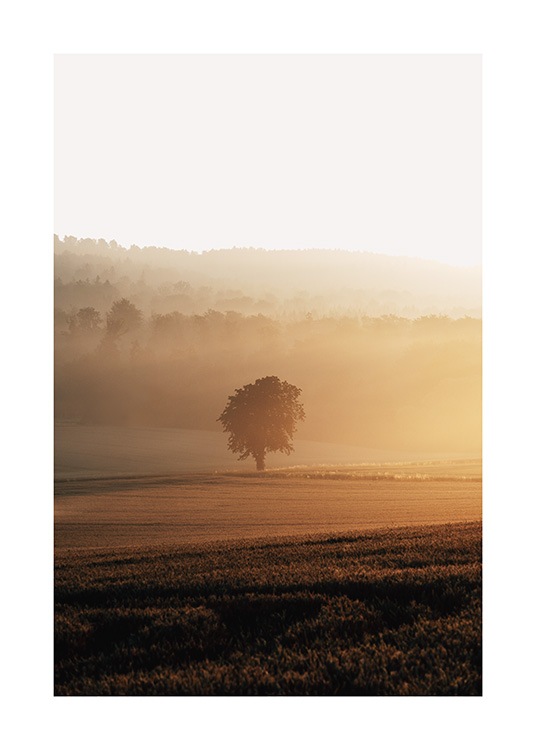  – Foto van velden met een boom in het midden bij zonsopgang, geheel bedekt met mist
