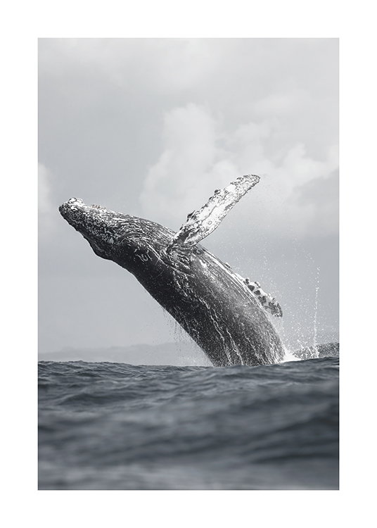  – Foto van een walvis die uit de oceaan omhoog komt