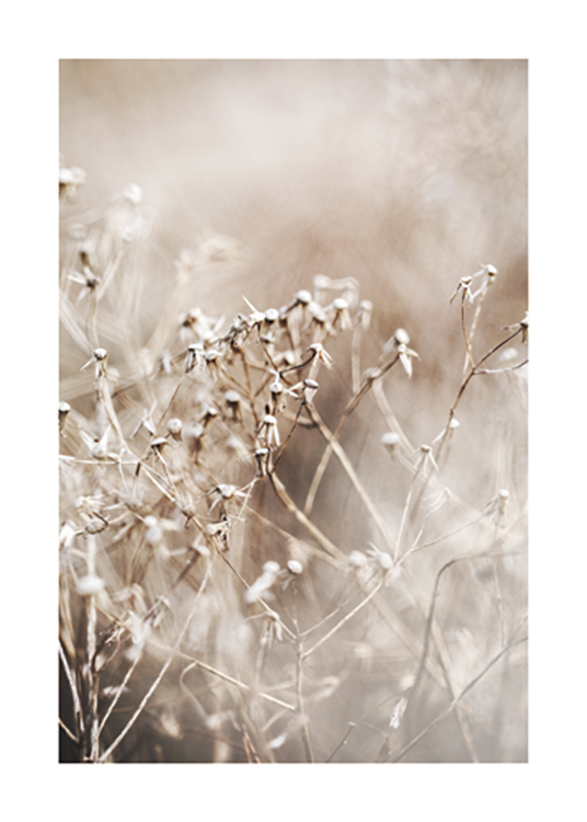  – Foto met close-up van een bos gedroogde bloemen in beige met een wazige achtergrond