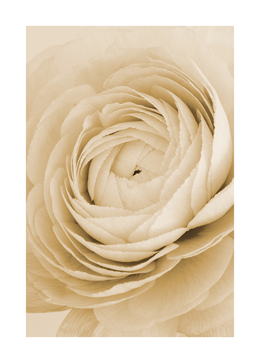  – Foto met close-up van een roos in geel