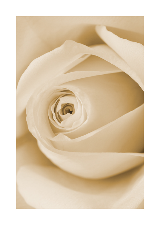  – Close-up foto van de middelste bloemblaadjes van een gele roos