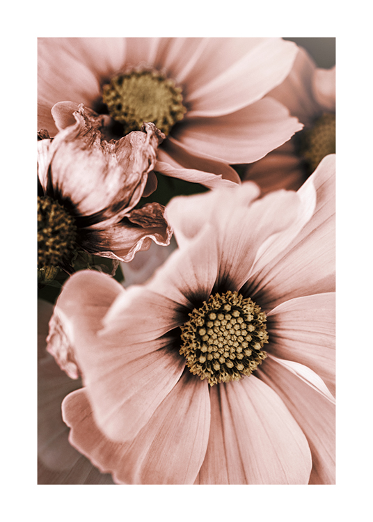  – Foto met close-up van een aantal roze bloemen met een beige hart