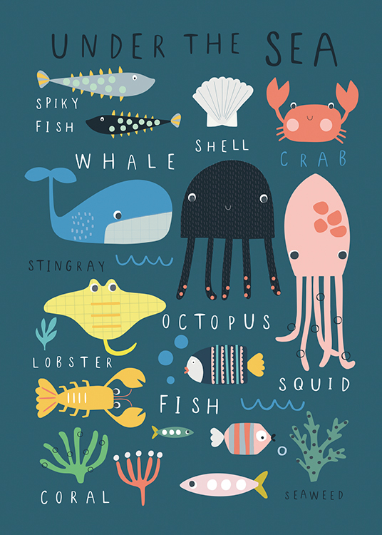  – Grafische illustratie van dieren en planten uit de zee en hun namen, tegen een tealkleurige achtergrond