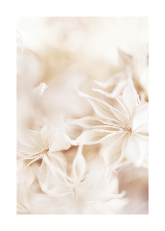  – Foto met close-up van lichte bloemen