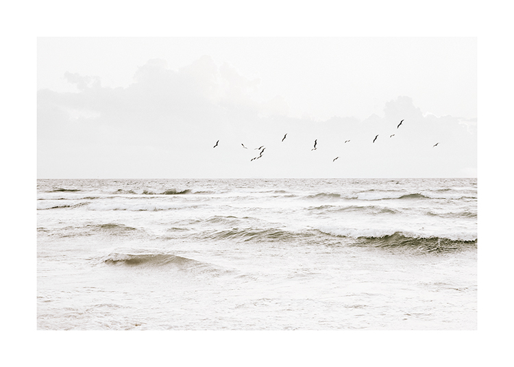  – Foto van een oceaan met een vlucht vogels die eroverheen vliegt