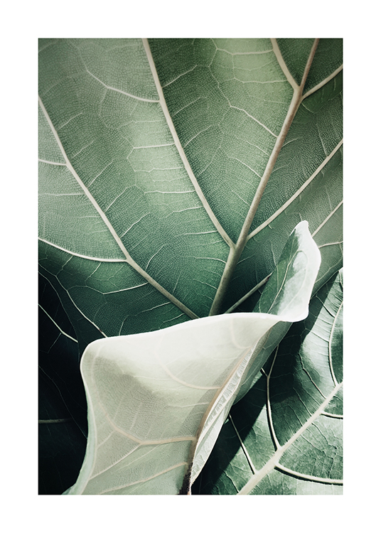  – Foto met close-up van een tabaksplant in groen